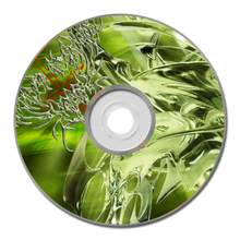 Load image into Gallery viewer, EMOTIONAL XAN - EMOTIONS CD
